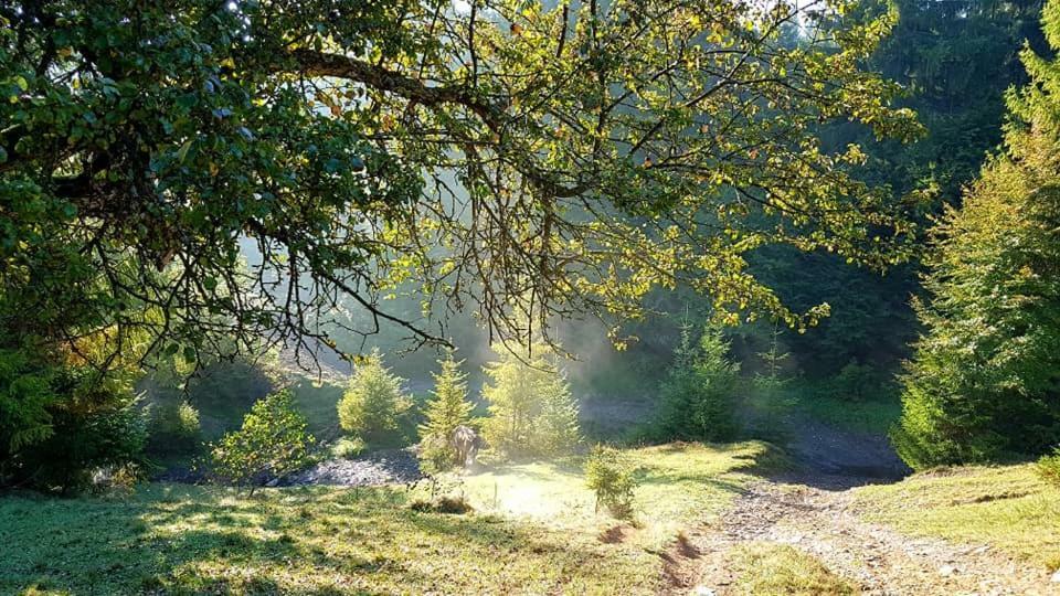 Готель Spravzhnya Kazka Подобовець Екстер'єр фото
